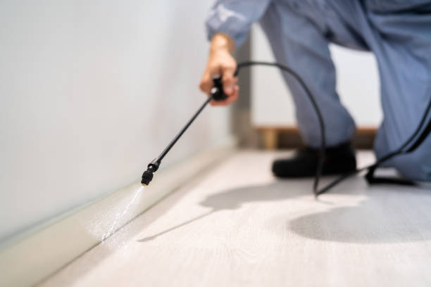 Licensed Exterminator service in Mauriceville, TX - Show Me Pest Control